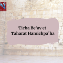 Ticha Be’av 2022 et  Taharat Hamichpa’ha